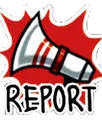 rEpOrT