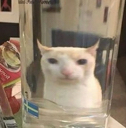 ch_gany Discord emoji