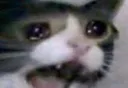 crycatto crycatto