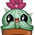 megano2Aww