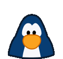 penguinwow