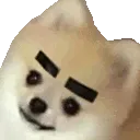 eyebrows