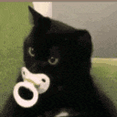 catBby Discord Emoji