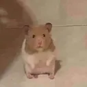 huh huh