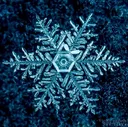 SNOWFLAKE