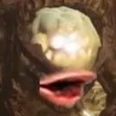 D2S_D_pogre