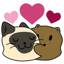 tylerhug