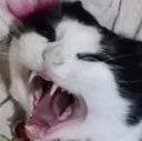 mitu mitu