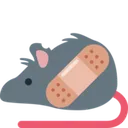 rat_adhesive_bandage