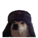 communistdog