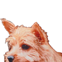 PeekABoo Discord emoji