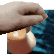 duckpat