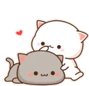 love_cat