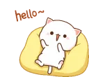 helooo_cat