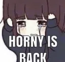 hornyh