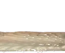 longsnail2