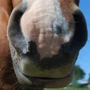 the