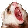 aaaaa