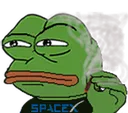 pepeElonMusk pepeElonMusk