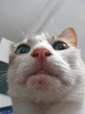 emoji_35 Discord emoji