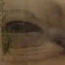 widecatL widecatL