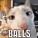 balls