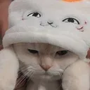 yumiicatty yumiicatty