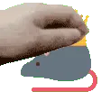 kingratpet