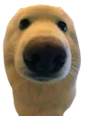 Boop