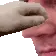 PETTHESCHNOZER