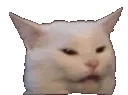 gifsc_trollcat