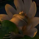 isleep isleep