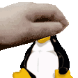 tuxpet Discord emoji