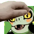 DusaPet