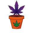 weedmeWeedpot