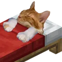 goodnightcheeto
