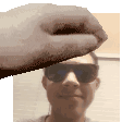 PetBlueBlue Discord Emoji