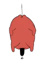 CSMPochitaSpin