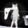 CATBEDOINGTHELAUNDRYULTRA CATBEDOINGTHELAUNDRYULTRA