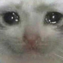 sdf_nibba_cat Discord emoji