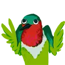 shruggingbird shruggingbird