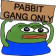pabbitgangonly