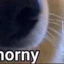 :hornyBOYE: