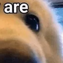 :areBOYE: