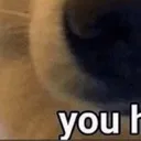 :youBOYE: