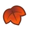 maple