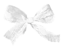 ribbonlace