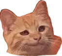 SmugCat