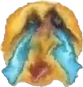 despair despair