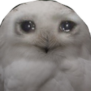 sad_owl Discord emoji
